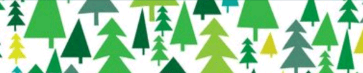Mon beau sapin ……
