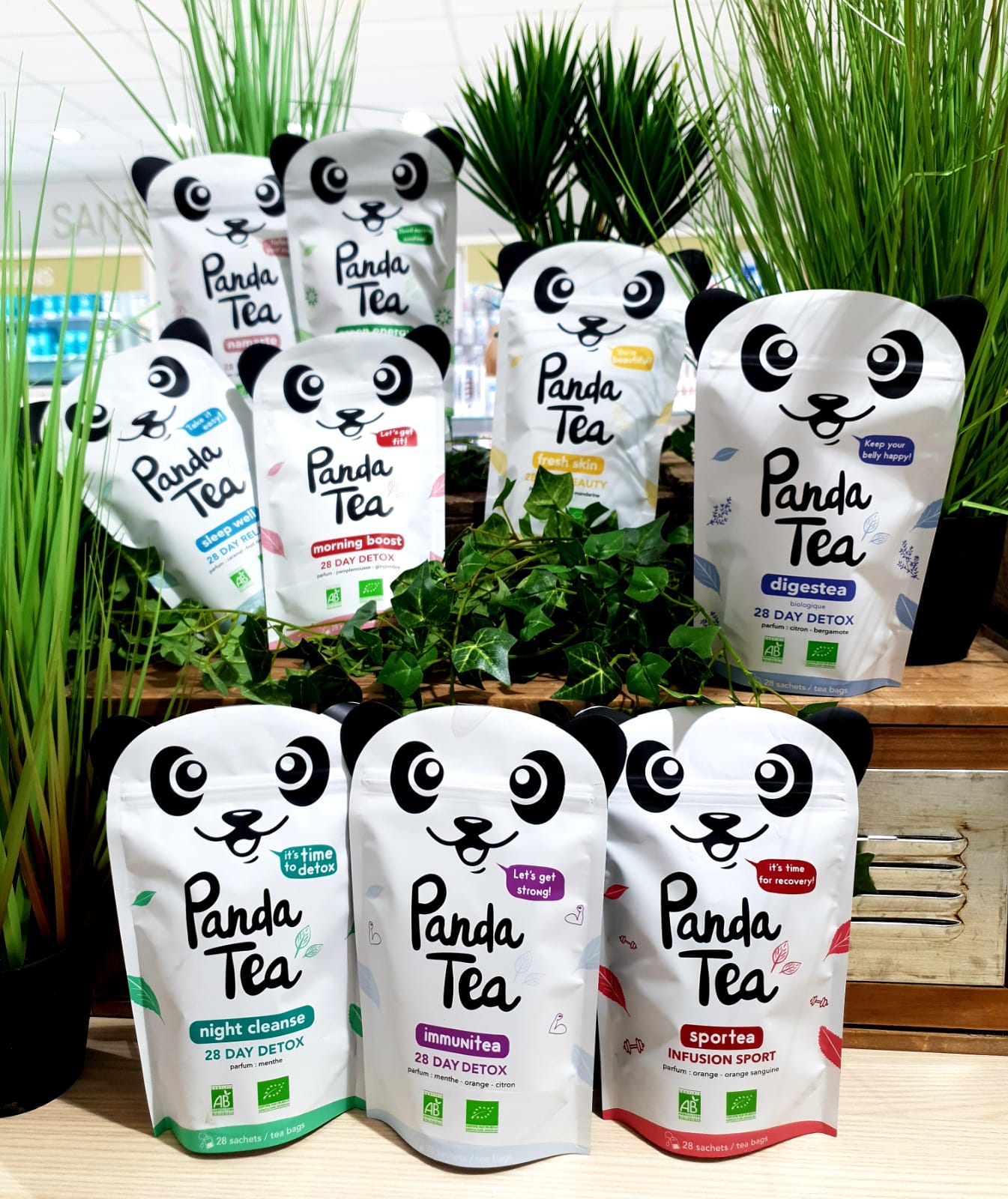 Panda Tea